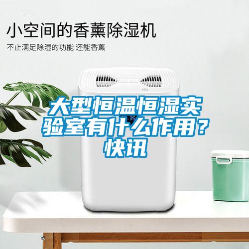 大型恒溫恒濕實驗室有什么作用？快訊