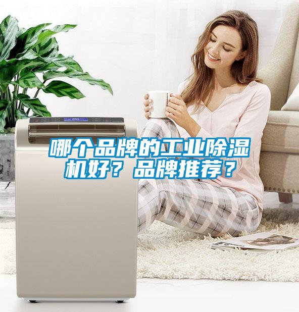 哪個品牌的工業除濕機好？品牌推薦？