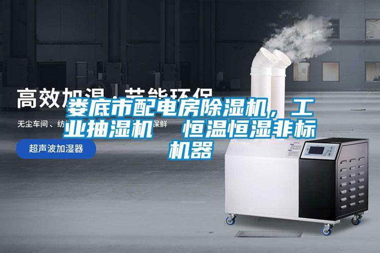 婁底市配電房除濕機，工業抽濕機  恒溫恒濕非標機器