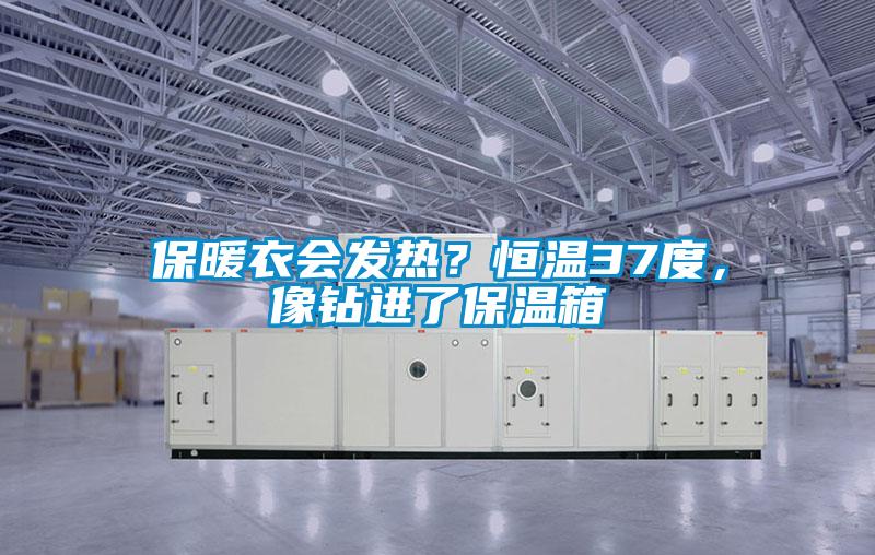 保暖衣會發熱？恒溫37度，像鉆進了保溫箱