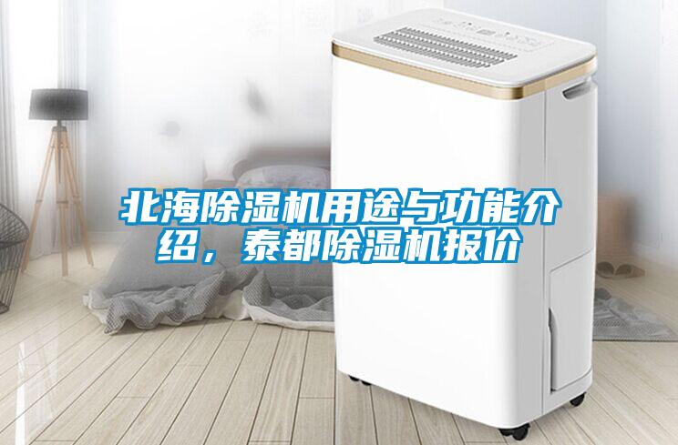 北海除濕機用途與功能介紹，泰都除濕機報價