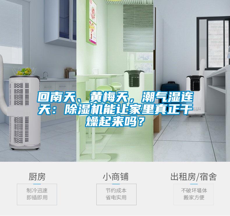 回南天、黃梅天，潮氣濕連天：除濕機能讓家里真正干燥起來嗎？