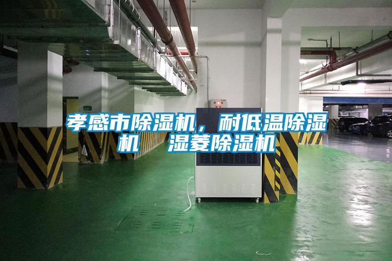 孝感市除濕機，耐低溫除濕機  濕菱除濕機