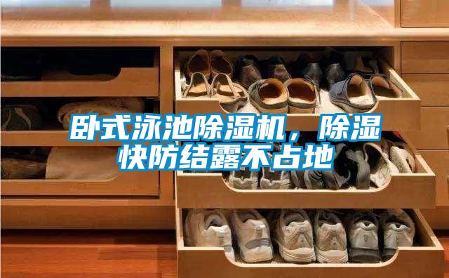 臥式泳池除濕機，除濕快防結露不占地