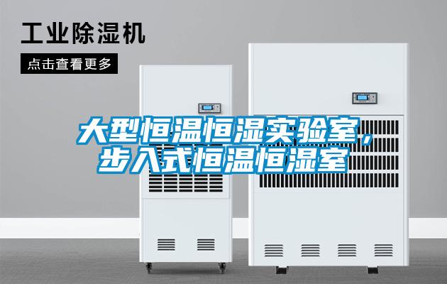 大型恒溫恒濕實驗室，步入式恒溫恒濕室