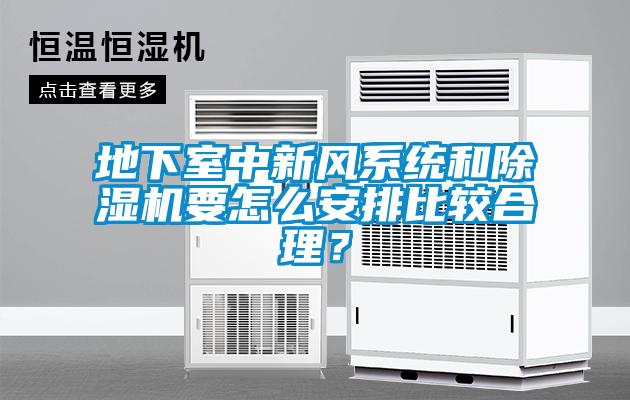 地下室中新風系統和除濕機要怎么安排比較合理？