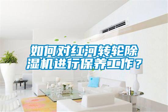 如何對紅河轉輪除濕機進行保養工作？