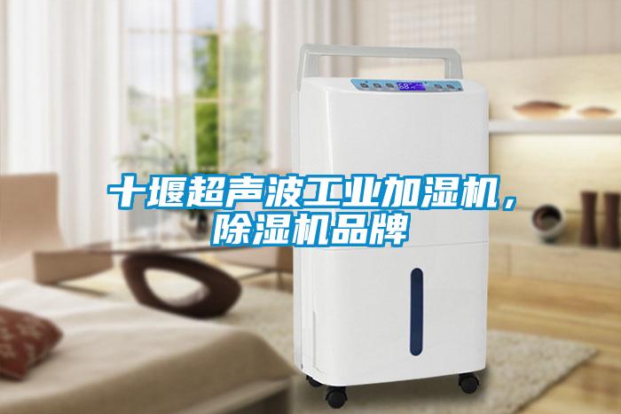 十堰超聲波工業加濕機，除濕機品牌