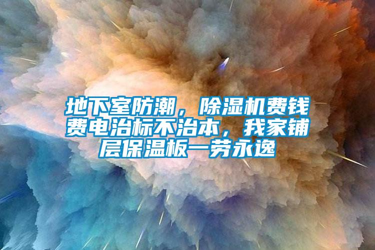 地下室防潮，除濕機費錢費電治標不治本，我家鋪層保溫板一勞永逸