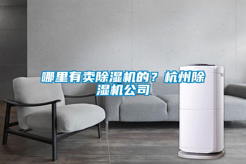 哪里有賣除濕機的？杭州除濕機公司