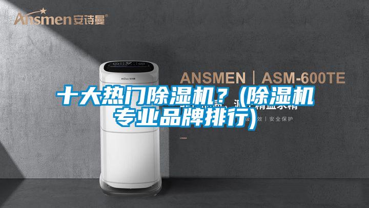 十大熱門除濕機？(除濕機專業品牌排行)