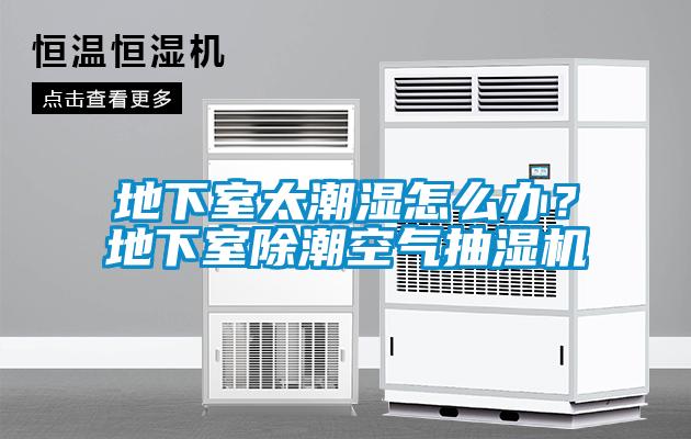 地下室太潮濕怎么辦？地下室除潮空氣抽濕機