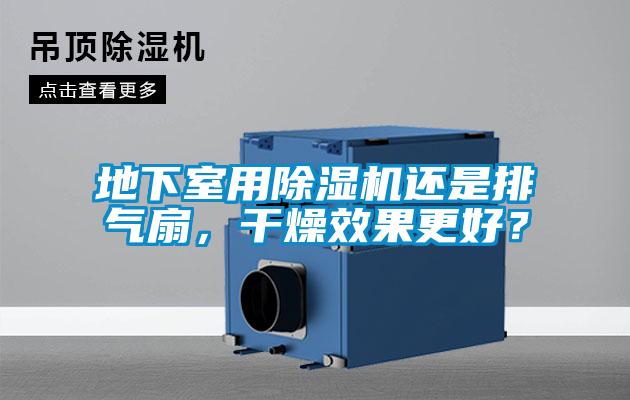 地下室用除濕機還是排氣扇，干燥效果更好？