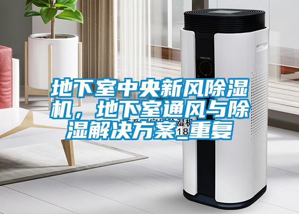 地下室中央新風除濕機，地下室通風與除濕解決方案_重復
