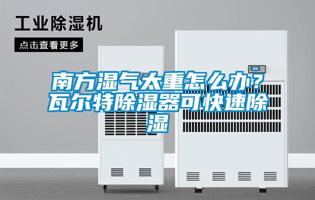 南方濕氣太重怎么辦？瓦爾特除濕器可快速除濕