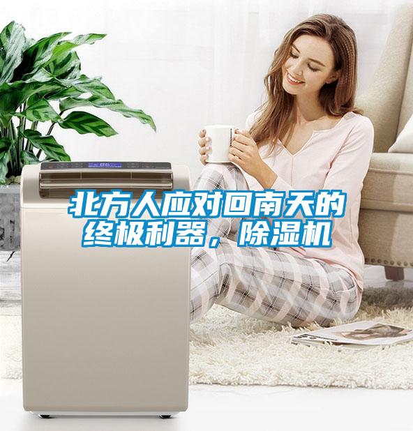北方人應對回南天的終極利器，除濕機