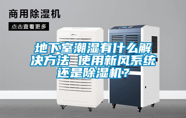 地下室潮濕有什么解決方法 使用新風系統還是除濕機？