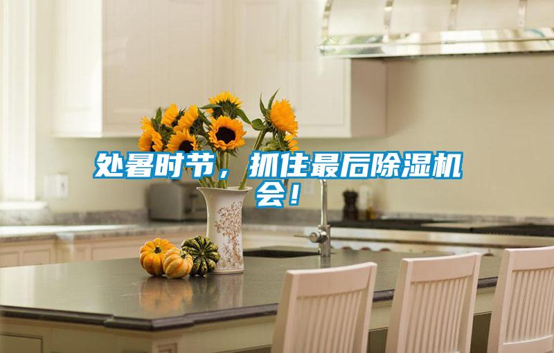 處暑時節，抓住最后除濕機會！