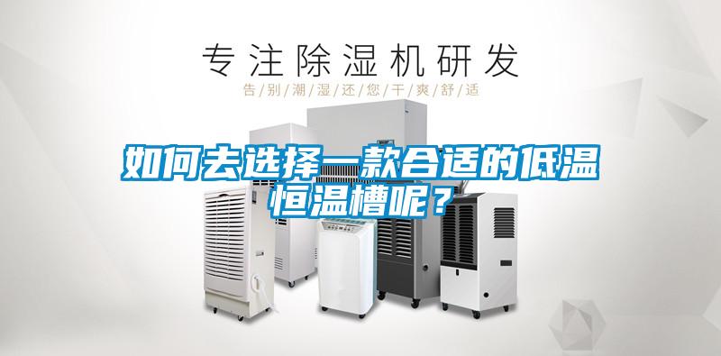 如何去選擇一款合適的低溫恒溫槽呢？