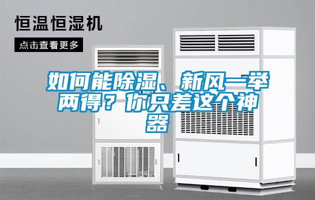 如何能除濕、新風一舉兩得？你只差這個神器