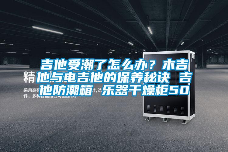 吉他受潮了怎么辦？木吉他與電吉他的保養秘訣 吉他防潮箱 樂器干燥柜50