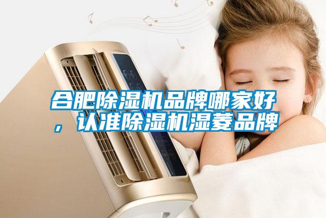 合肥除濕機品牌哪家好，認準除濕機濕菱品牌