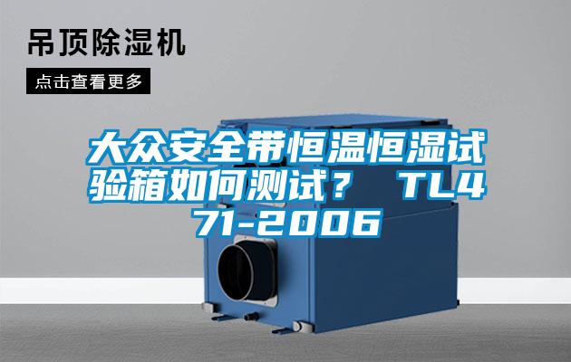 大眾安全帶恒溫恒濕試驗箱如何測試？ TL471-2006