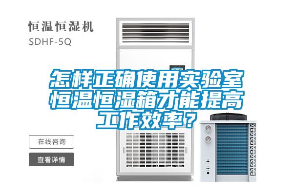 怎樣正確使用實驗室恒溫恒濕箱才能提高工作效率？