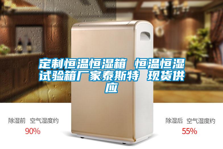 定制恒溫恒濕箱 恒溫恒濕試驗箱廠家泰斯特 現貨供應