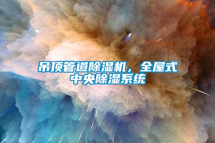 吊頂管道除濕機，全屋式中央除濕系統