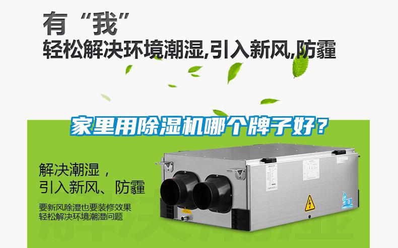 家里用除濕機哪個牌子好？