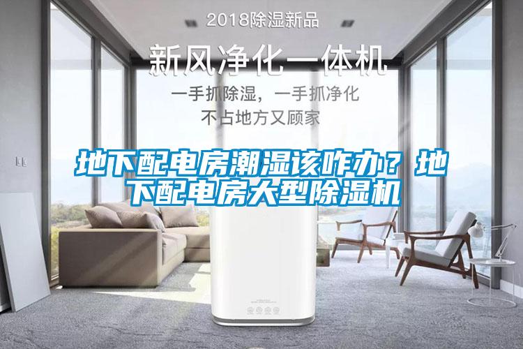 地下配電房潮濕該咋辦？地下配電房大型除濕機