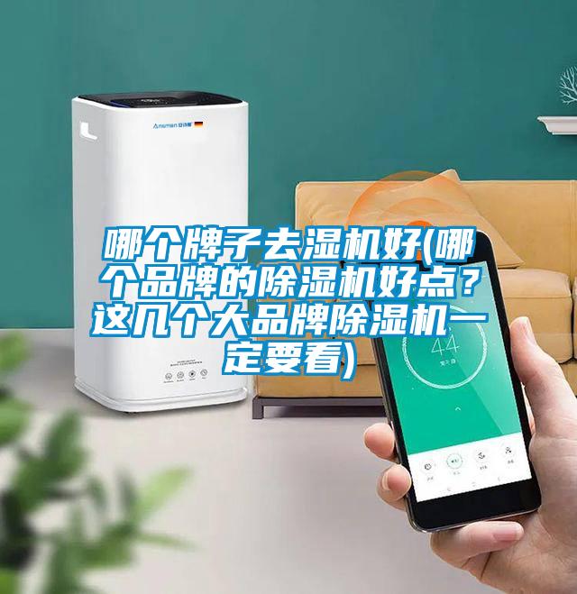 哪個牌子去濕機好(哪個品牌的除濕機好點？這幾個大品牌除濕機一定要看)