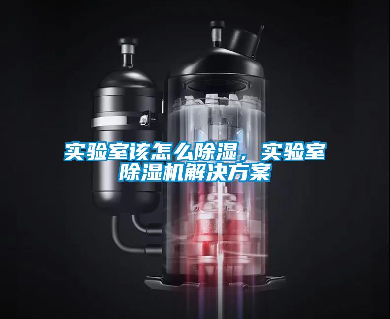 實驗室該怎么除濕，實驗室除濕機解決方案