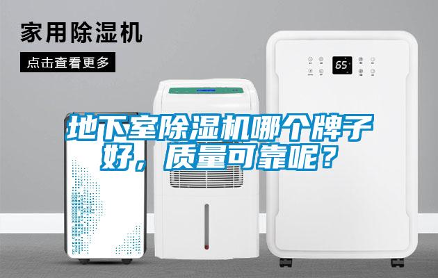 地下室除濕機哪個牌子好，質量可靠呢？