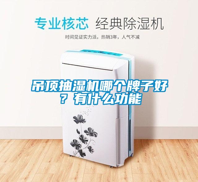 吊頂抽濕機哪個牌子好？有什么功能