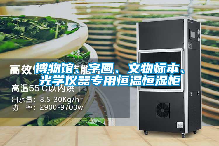 博物館、字畫、文物標本、光學儀器專用恒溫恒濕柜