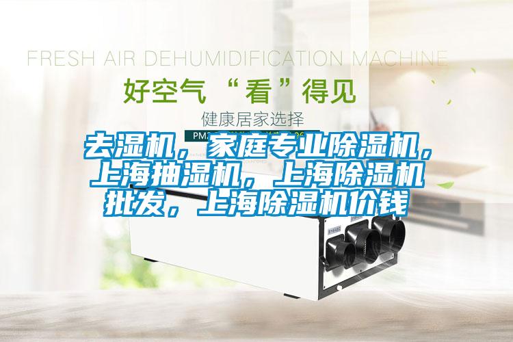 去濕機，家庭專業除濕機，上海抽濕機，上海除濕機批發，上海除濕機價錢