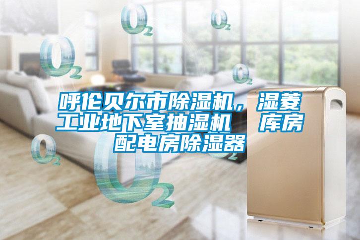 呼倫貝爾市除濕機，濕菱工業地下室抽濕機  庫房配電房除濕器