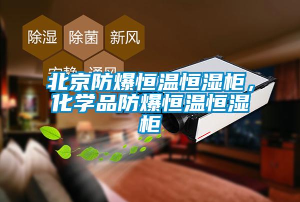 北京防爆恒溫恒濕柜，化學品防爆恒溫恒濕柜