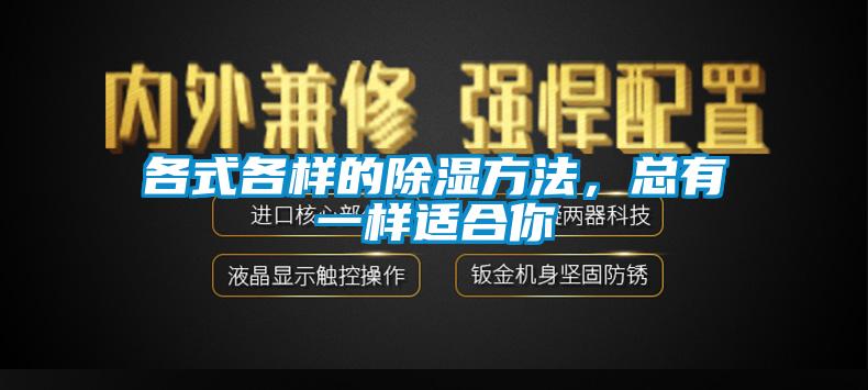各式各樣的除濕方法，總有一樣適合你