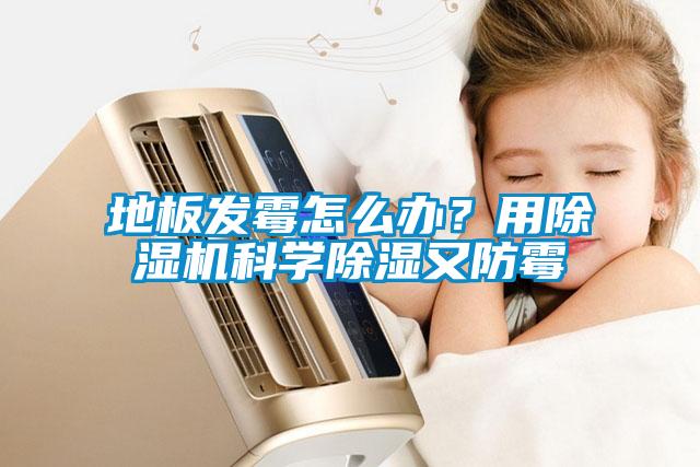 地板發霉怎么辦？用除濕機科學除濕又防霉