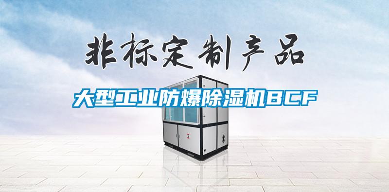 大型工業防爆除濕機BCF