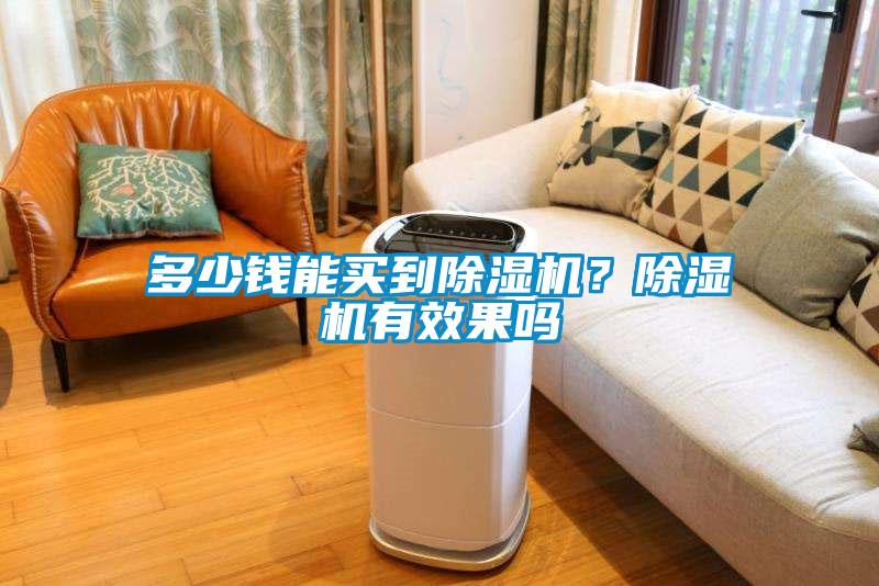 多少錢能買到除濕機？除濕機有效果嗎