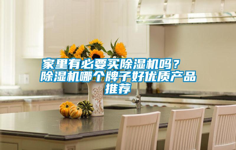 家里有必要買除濕機嗎？ 除濕機哪個牌子好優質產品推薦
