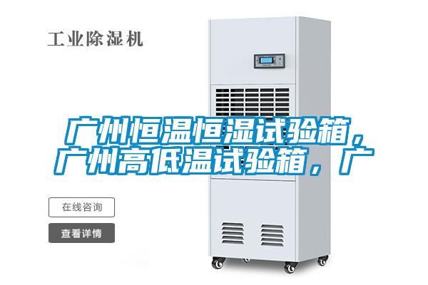 廣州恒溫恒濕試驗箱，廣州高低溫試驗箱，廣