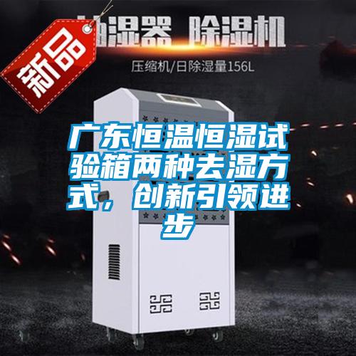 廣東恒溫恒濕試驗箱兩種去濕方式，創新引領進步