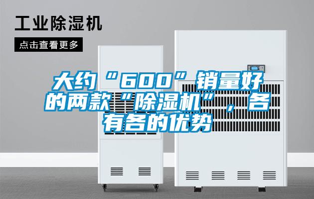 大約“600”銷量好的兩款“除濕機”，各有各的優勢