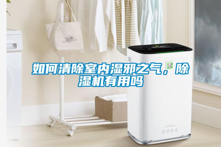 如何清除室內濕邪之氣，除濕機有用嗎