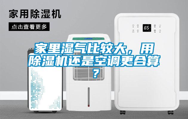 家里濕氣比較大，用除濕機還是空調更合算？
